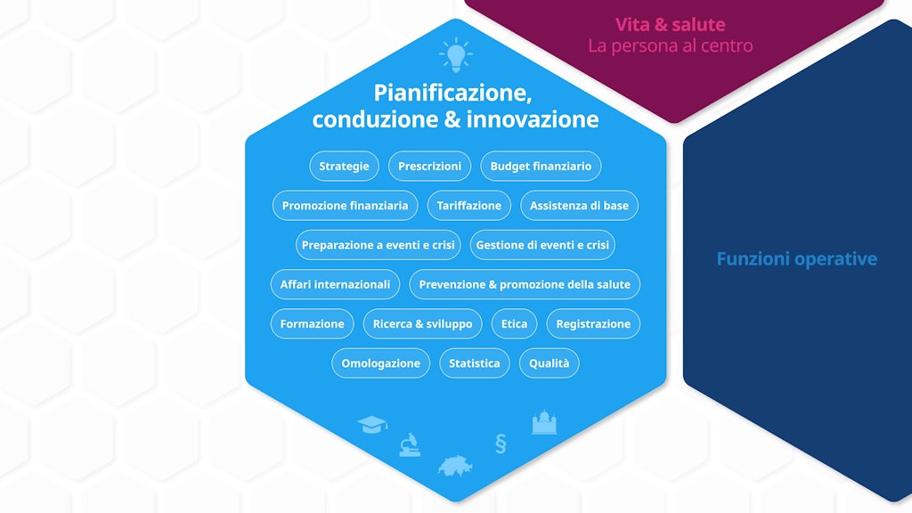 Vista dettagliata dell'area funzionale: «Pianificazione, conduzione e innovazione»